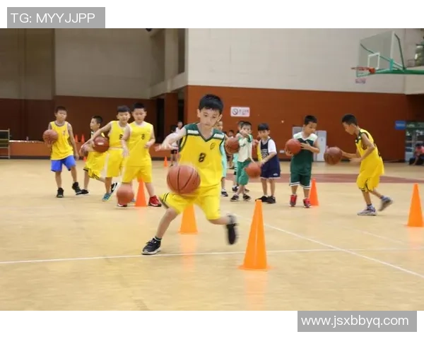 成都篮球队的意识提升与团队协作探讨聚焦篮球发展新方向